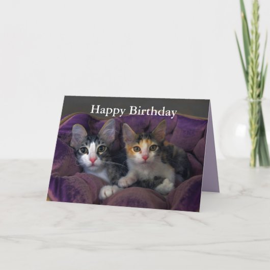 Carte Joyeux Anniversaire Kitten Pair dans un lit pourpr (Devant)