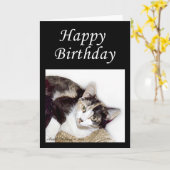 Carte Joyeux anniversaire Kitty (Fleur jaune)