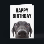 Carte Joyeux Anniversaire | Labrador Noir<br><div class="desc">Offrez cette carte d'anniversaire de chien mignon à tout amateur de chiens ou ami ou membre de la famille qui aime s'amuser !</div>