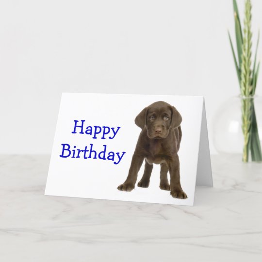 Carte Joyeux Anniversaire Labrador Retriever Puppy Dog C Zazzle Be