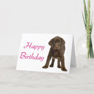 Carte Joyeux anniversaire Labrador Retriever Puppy Dog C