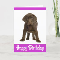 Joyeux anniversaire Labrador Retriever Puppy Dog C