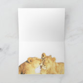 Carte Joyeux Anniversaire - Lion Pair, Zambezi National  (Intérieur)