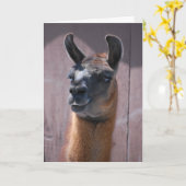 Carte Joyeux Anniversaire Llama (Fleur jaune)