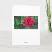 Carte Joyeux Anniversaire Love Red Rose Raindrops Card (Dos)