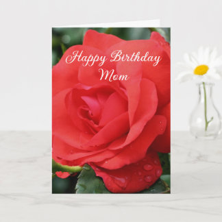 Carte Joyeux anniversaire Maman Fleur de rose rouge