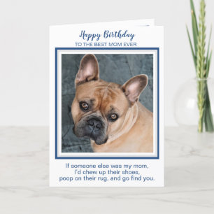 Carte Joyeux Anniversaire Maman Funny Chien Mondes Meill
