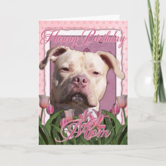 Carte Joyeux Anniversaire Maman - Pitbull - Jersey Girl (Devant)