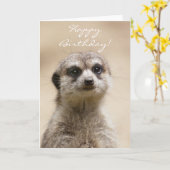 Carte Joyeux anniversaire Meerkat (Fleur jaune)