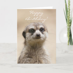 Carte Joyeux Anniversaire Meerkat