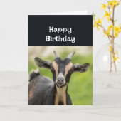 Carte Joyeux anniversaire Mon vieux chèvre préféré s'amu (Fleur jaune)