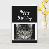 Carte Joyeux anniversaire Ne croyez pas que c'est un mei (Fleur jaune)