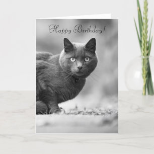 Carte Joyeux Anniversaire noir Chat