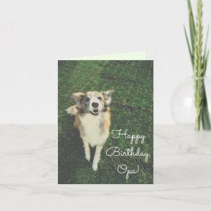 Carte Joyeux anniversaire, Opa ! Prenez une balle ! Peti