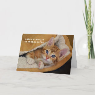 Carte Joyeux Anniversaire, Orange Tabby Kitten en Lit