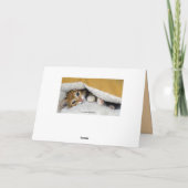 Carte Joyeux Anniversaire, Orange Tabby Kitten en Lit (Dos)