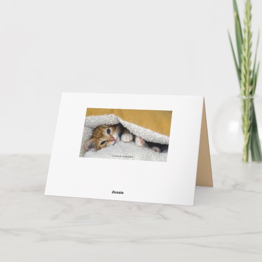 Carte Joyeux Anniversaire, Orange Tabby Kitten en Lit (Dos)