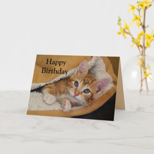 Carte Joyeux Anniversaire, Orange Tabby Kitten en Lit (Fleur jaune)