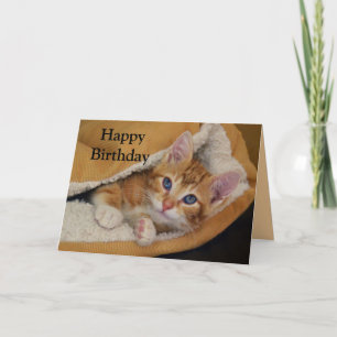 Carte Joyeux Anniversaire, Orange Tabby Kitten en Lit