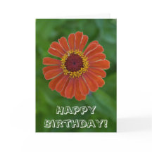 Joyeux anniversaire Orange Zinnia fleur floraison