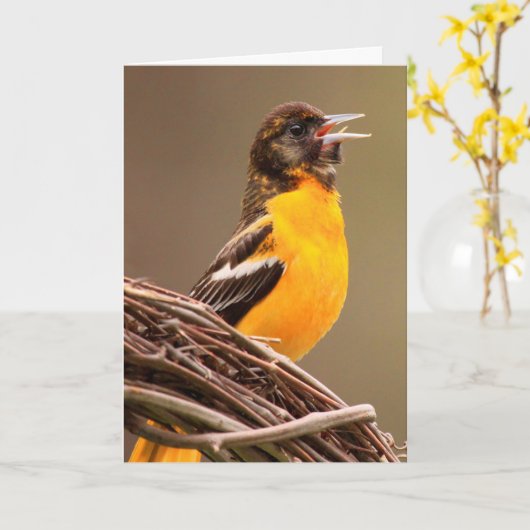 Carte Joyeux anniversaire Oriole (Fleur jaune)