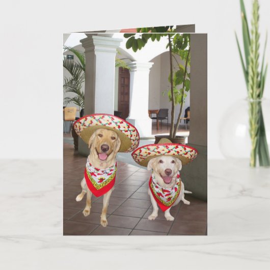 Carte Joyeux anniversaire ! ou cumpleaños de Feliz de ¡ (Devant)