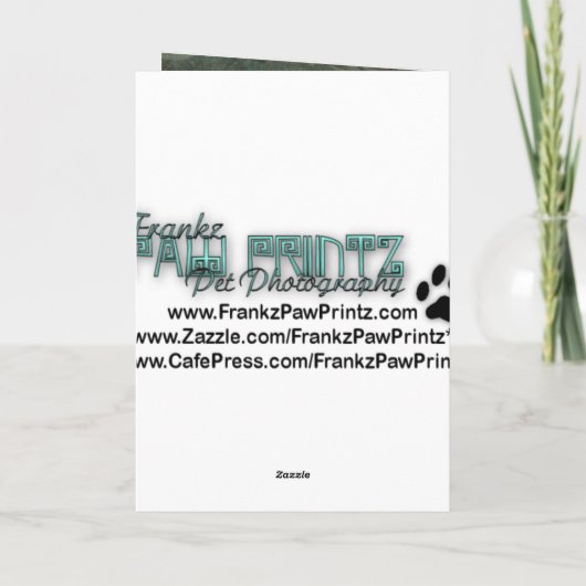 Carte Joyeux anniversaire - pattes en pierre - chien de (Dos)