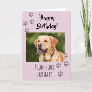 Carte Joyeux Anniversaire Photo Chien Chat Animal de Com