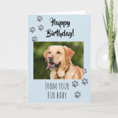 Carte Joyeux Anniversaire Photo Chien Chat Animal de Com (Devant)