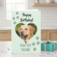 Joyeux Anniversaire Photo Chien Chat Animaux de co