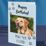 Carte Joyeux Anniversaire Photo Chien Chat Animaux de co<br><div class="desc">This design created though digital art. It may be personalized in the area provide or customizing by choosing the click to customize further option and changing the name, initials or words. Donc, change le texte color and style or delete the text for an image only design. Contact me at colorflowcreations@gmail.com...</div>