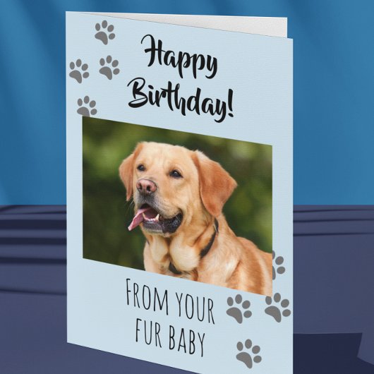 Carte Joyeux Anniversaire Photo Chien Chat Animaux de co