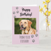 Carte Joyeux Anniversaire Photo Chien Chat Animaux de co (Fleur jaune)