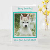 Carte Joyeux Anniversaire - Photo pour animaux de compag (Fleur jaune)