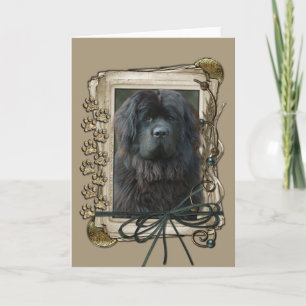 Carte Joyeux Anniversaire - Pierres - Terre-Neuve