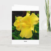 Carte Joyeux anniversaire Pink Hibiscus (Dos)