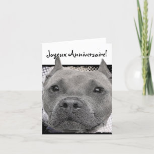 Carte Joyeux Anniversaire Pitbull Dog Greeting card