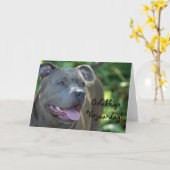 Carte Joyeux anniversaire Pitbull dog greeting card (Fleur jaune)