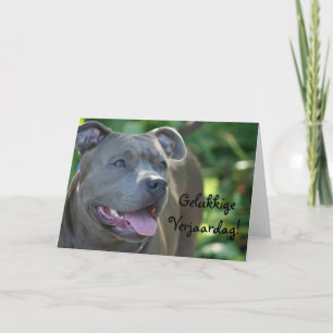 Carte Joyeux anniversaire Pitbull dog greeting card