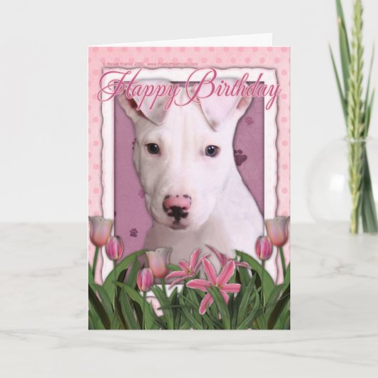 Carte Joyeux anniversaire - Pitbull - Petey (Devant)