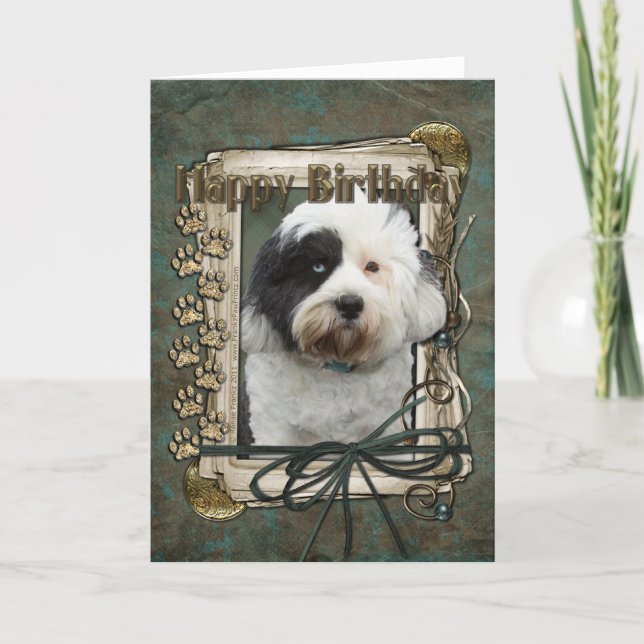 Carte Joyeux Anniversaire - Poches de pierre - Terrier t (Devant)
