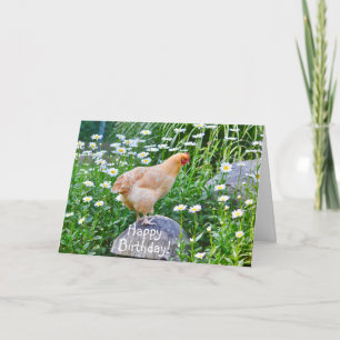 Carte Joyeux Anniversaire Poulet Avec Pâquerettes