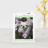 Carte Joyeux anniversaire pour des chiens (Fleur jaune)