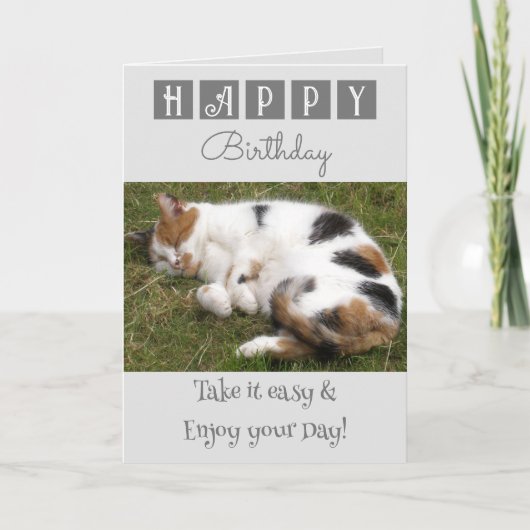 Carte Joyeux anniversaire prenez facile chat photo gris (Devant)