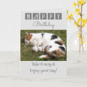 Carte Joyeux anniversaire prenez facile chat photo gris (Fleur jaune)