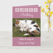 Carte Joyeux Anniversaire prenez facile chat photo rose (Fleur jaune)
