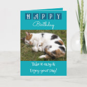 Carte Joyeux anniversaire prenez-le facile chat photo bl (Devant)