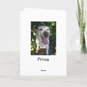 Carte Joyeux anniversaire Prima (Dos)