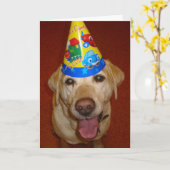 Carte Joyeux anniversaire Prima (Fleur jaune)