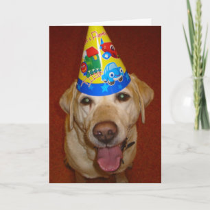 Carte Joyeux anniversaire Prima